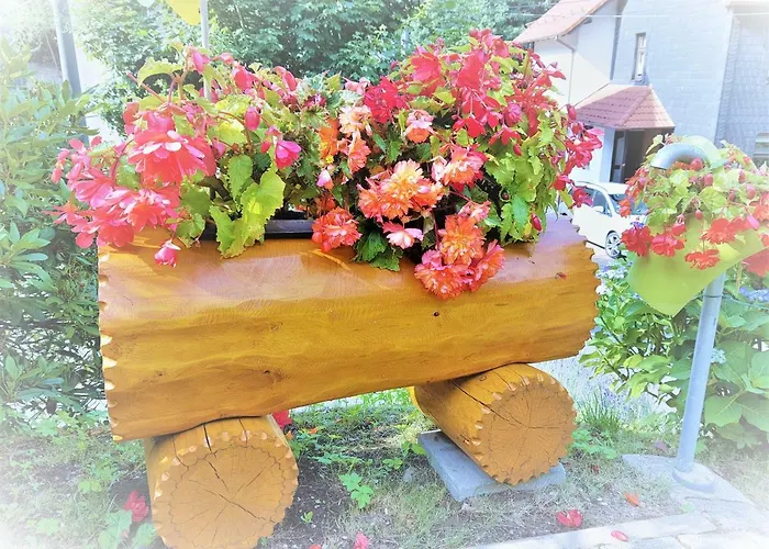 Baacke بيت للعطل